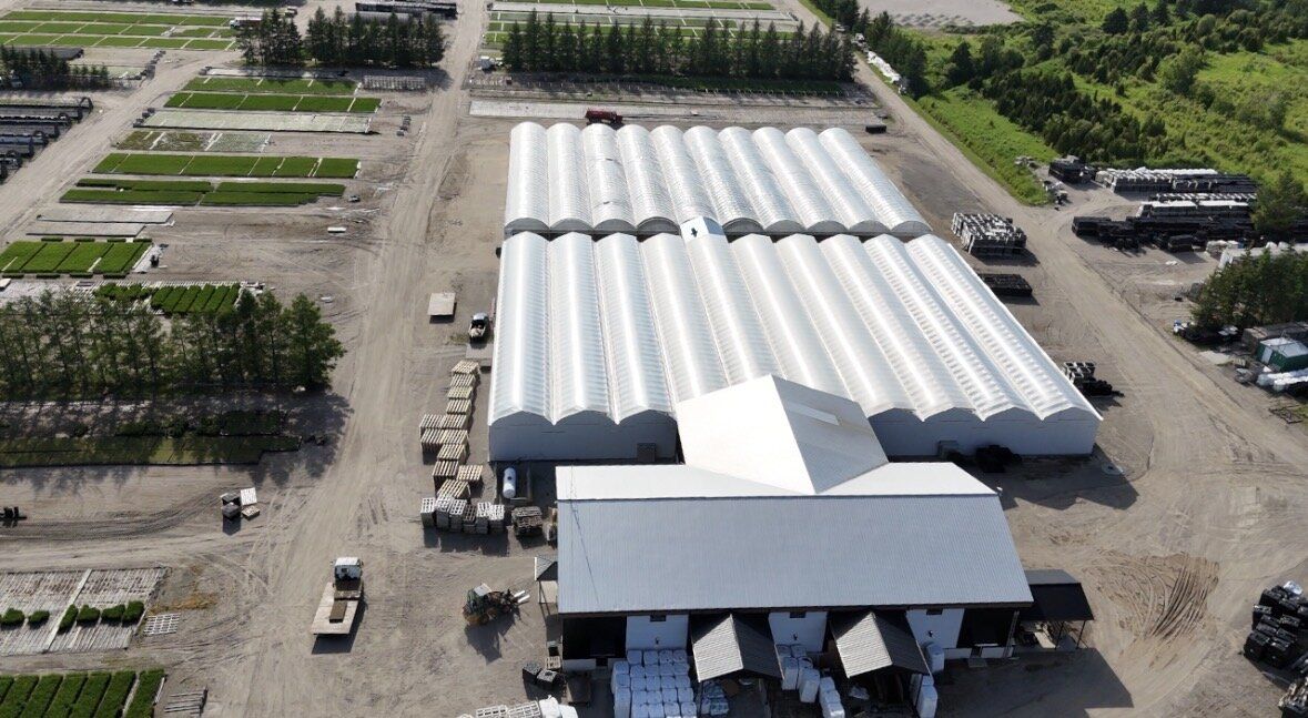 Vue aérienne des serres et champs de production de la Pépinière Boucher à Saint-Ambroise