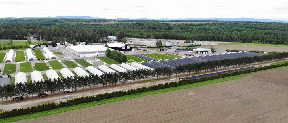 Vue aérienne des plantations forestières de Pépinière Boucher