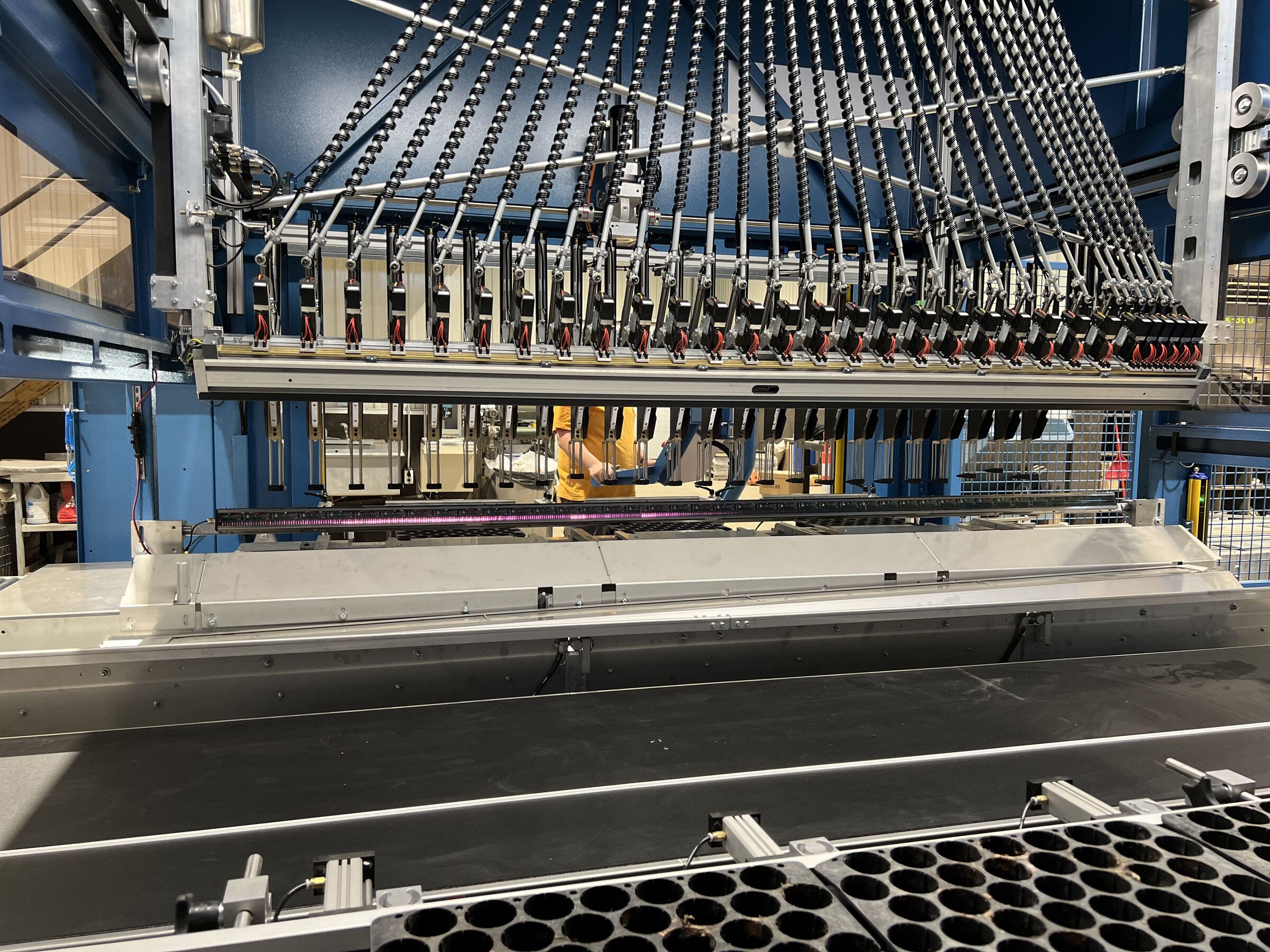 Bras robotisé transplantant des plants de conifères dans les multicellules