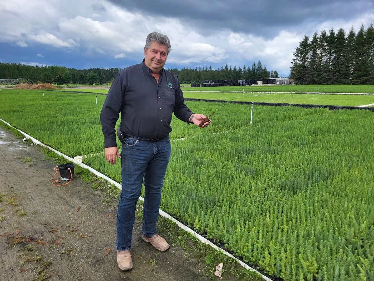 « On produit jusqu’à 20 millions de plants forestiers annuellement. »