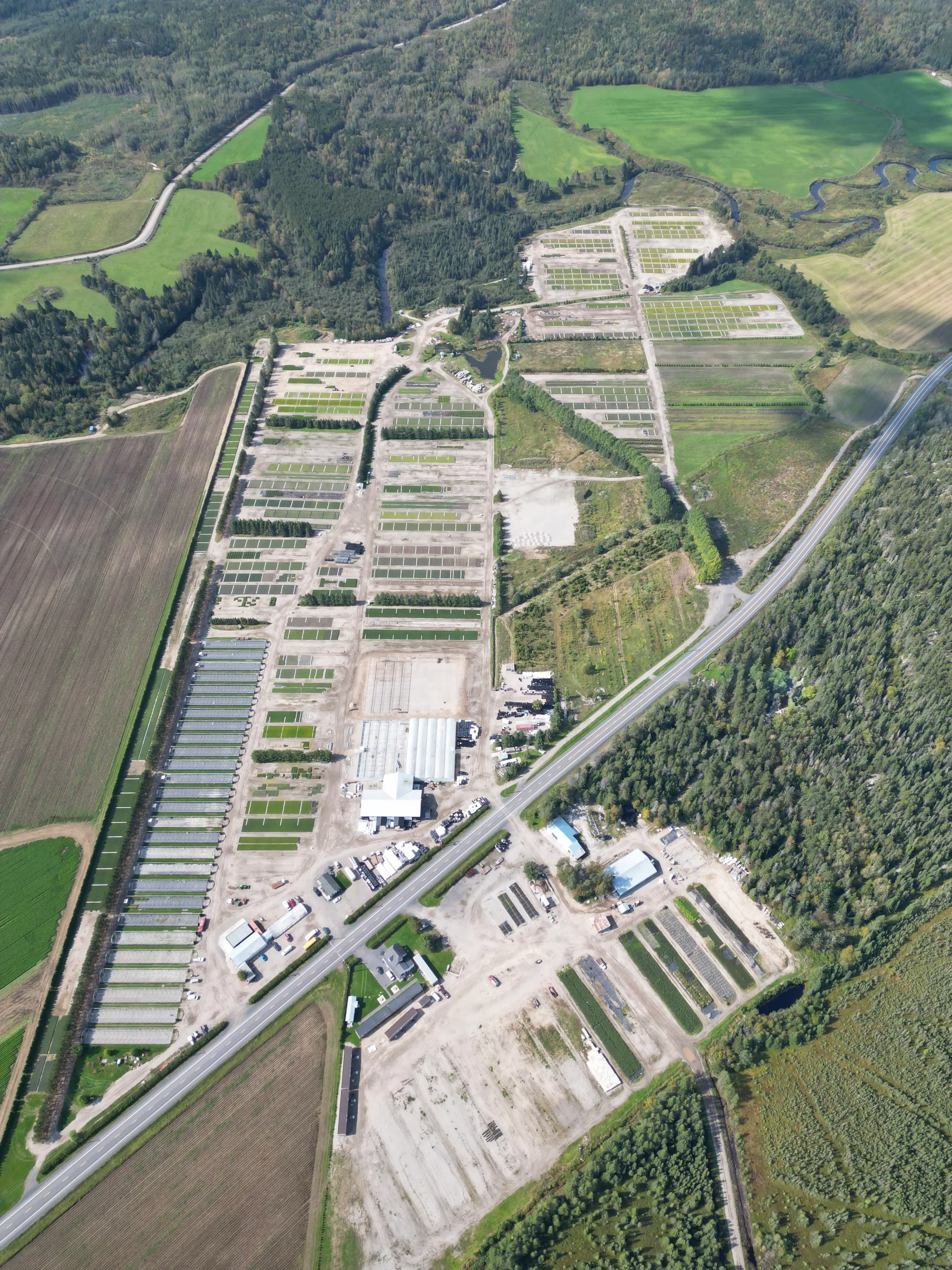 Vue aérienne d'une pépinière forestière montrant les rangées de production