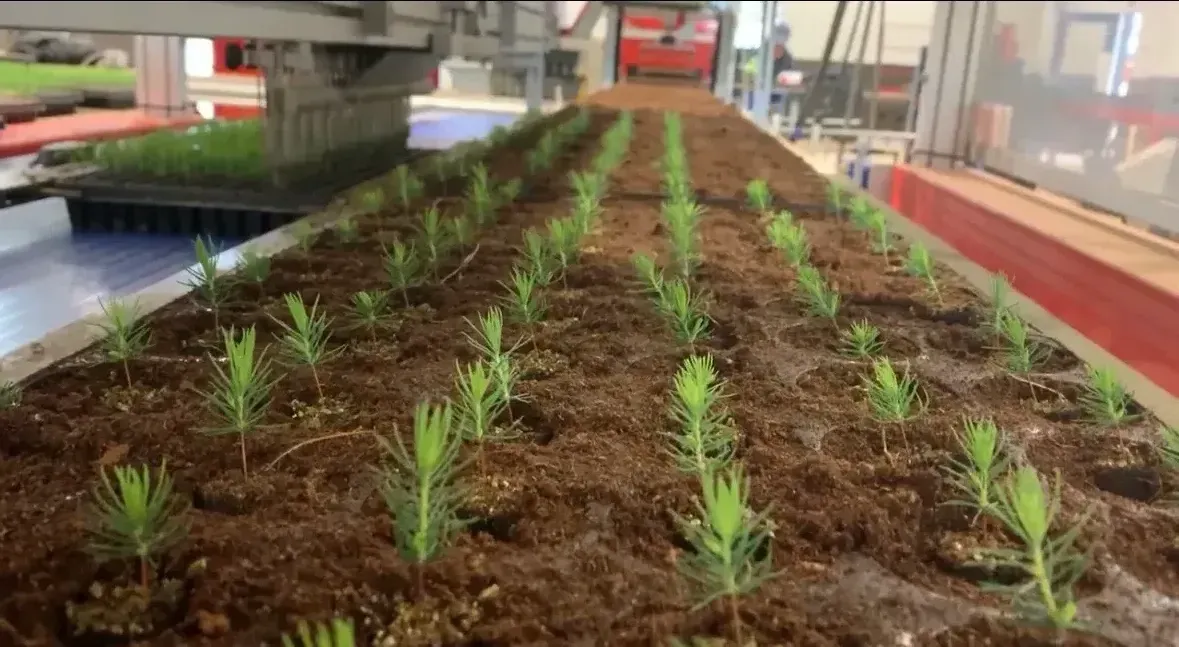 Robot transplanteur avec système de vision guidant les plants dans les multicellules